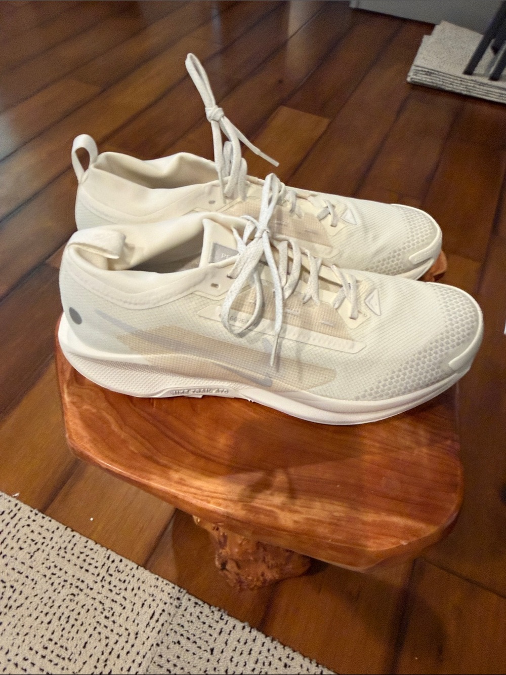 Nike Trail Men's Neutral Cream White Running Shoes